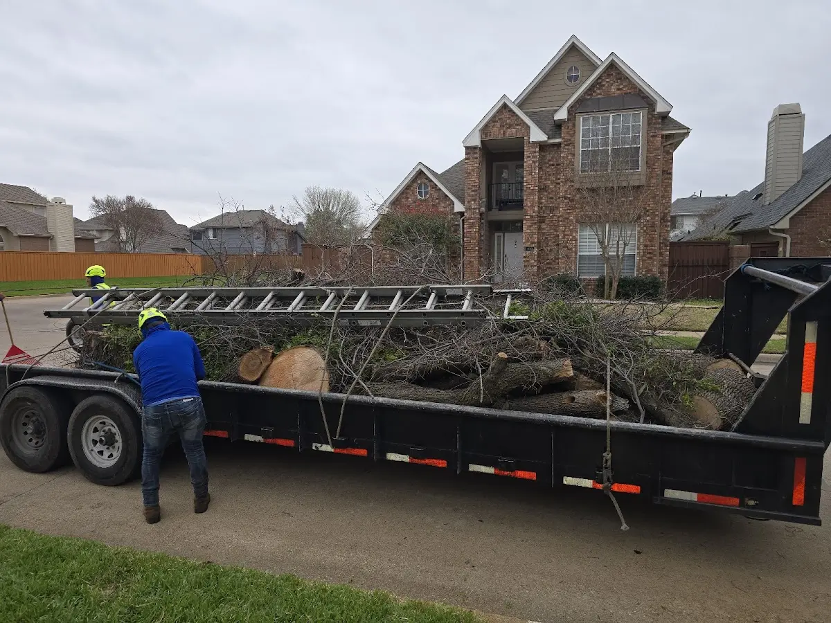 Expert Tree Pest Control with proper safety equipment in Marlboro